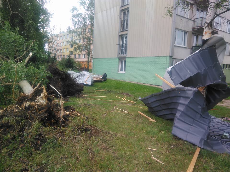 Morning after tornado.