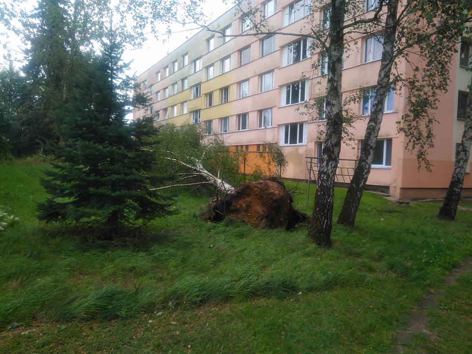 Morning after tornado.